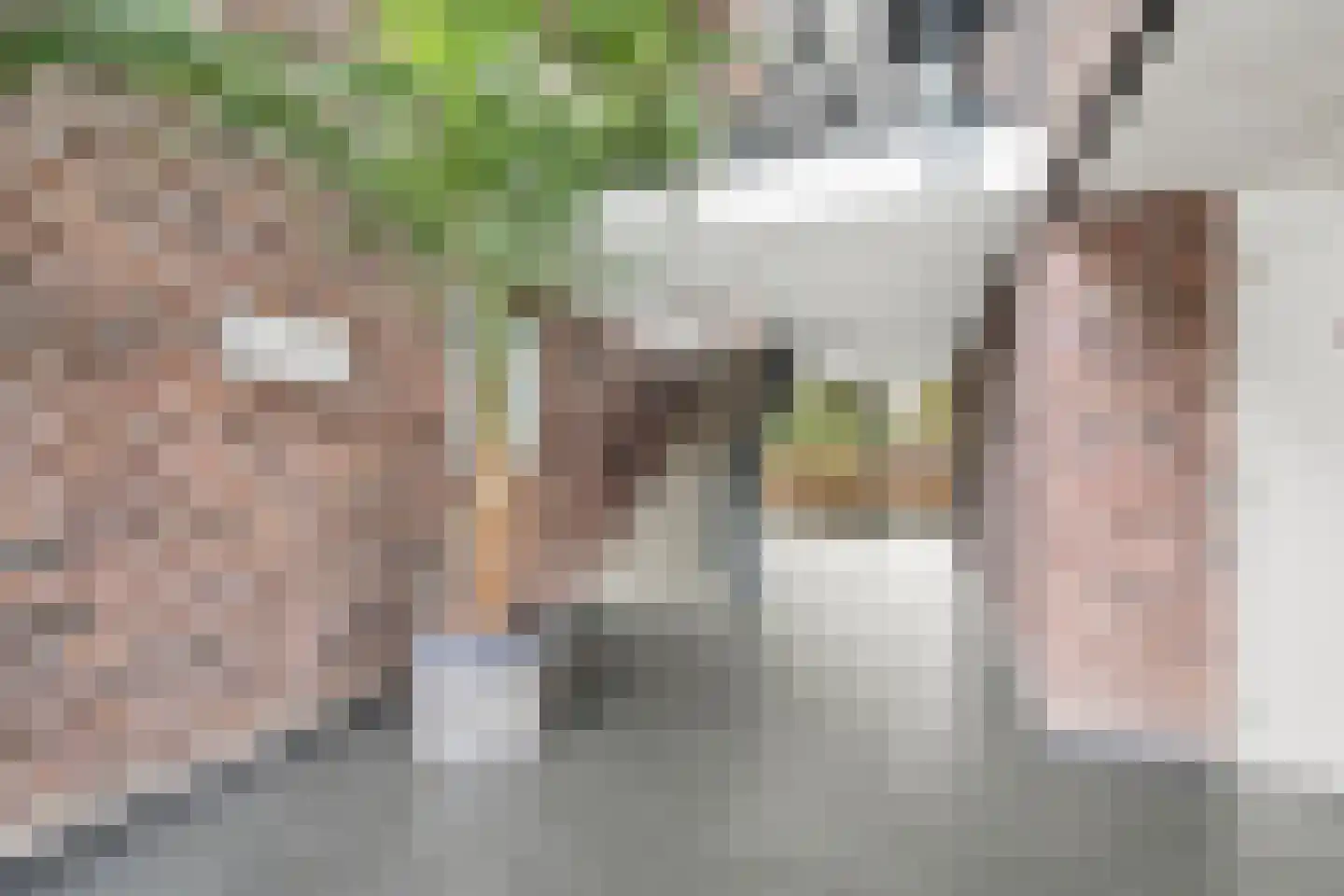 Veldhoeve 26 Nieuwegein thumbnail 23