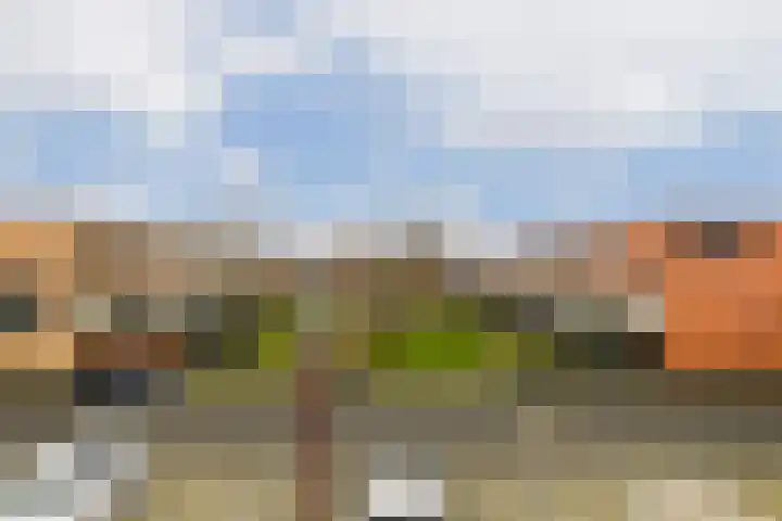 Veldhoeve 84 Nieuwegein thumbnail 13