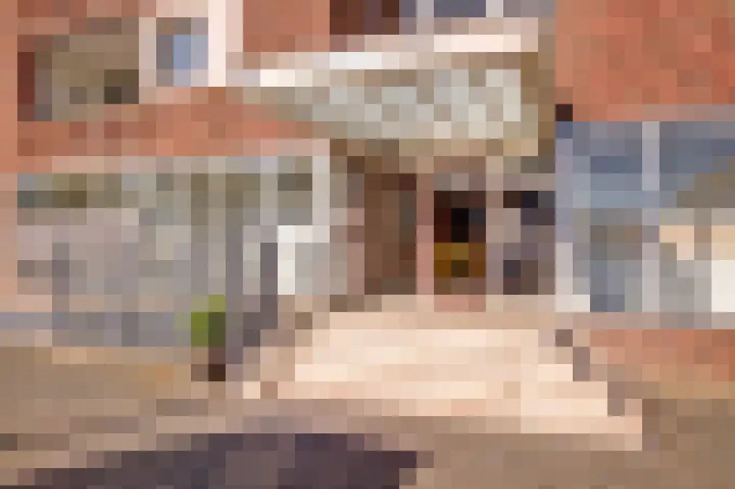 Veldhoeve 88 Nieuwegein thumbnail 9