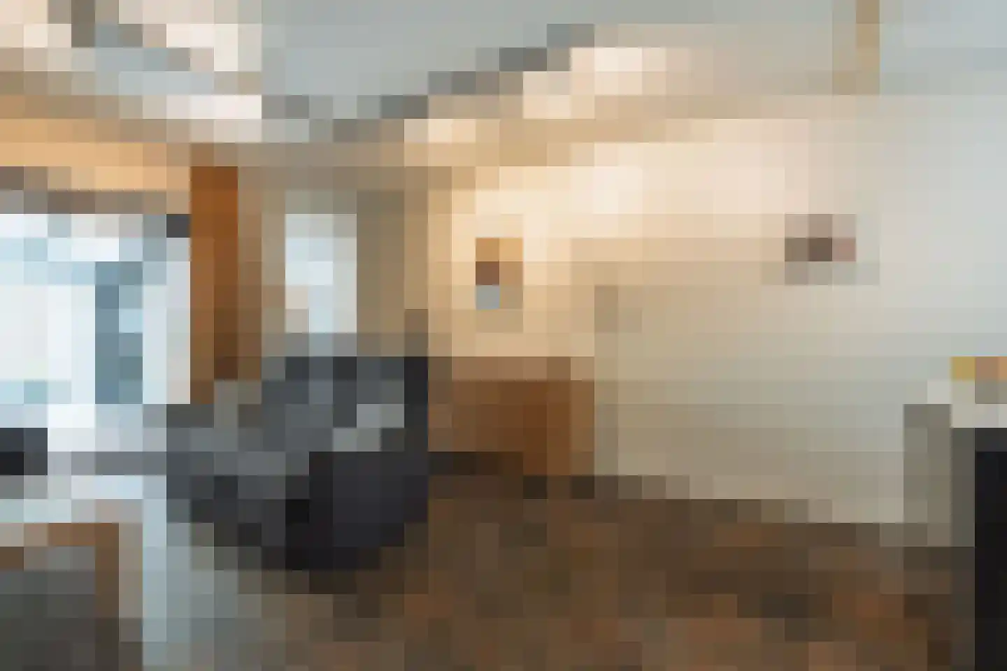Veldhoeve 9 Nieuwegein thumbnail 10
