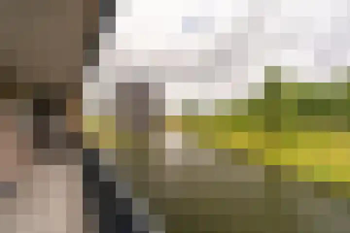 Veldhoeve 90 Nieuwegein thumbnail 27
