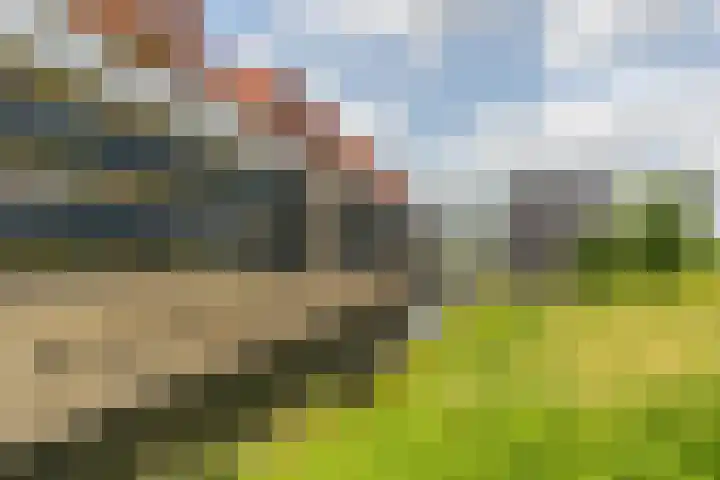 Veldhoeve 90 Nieuwegein thumbnail 6