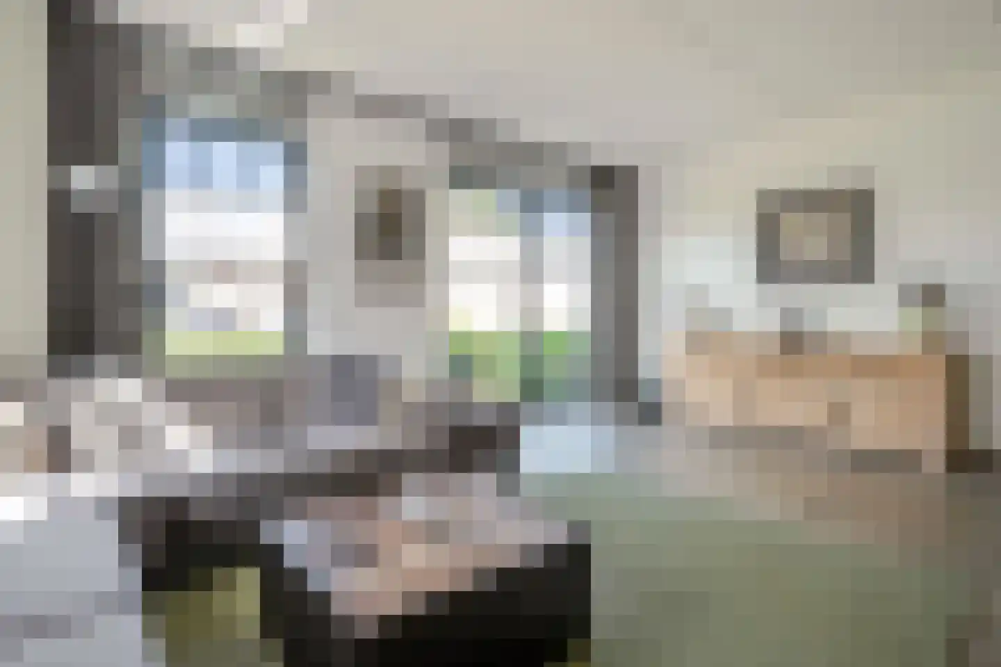 Veldhof 19 Raalte thumbnail 13