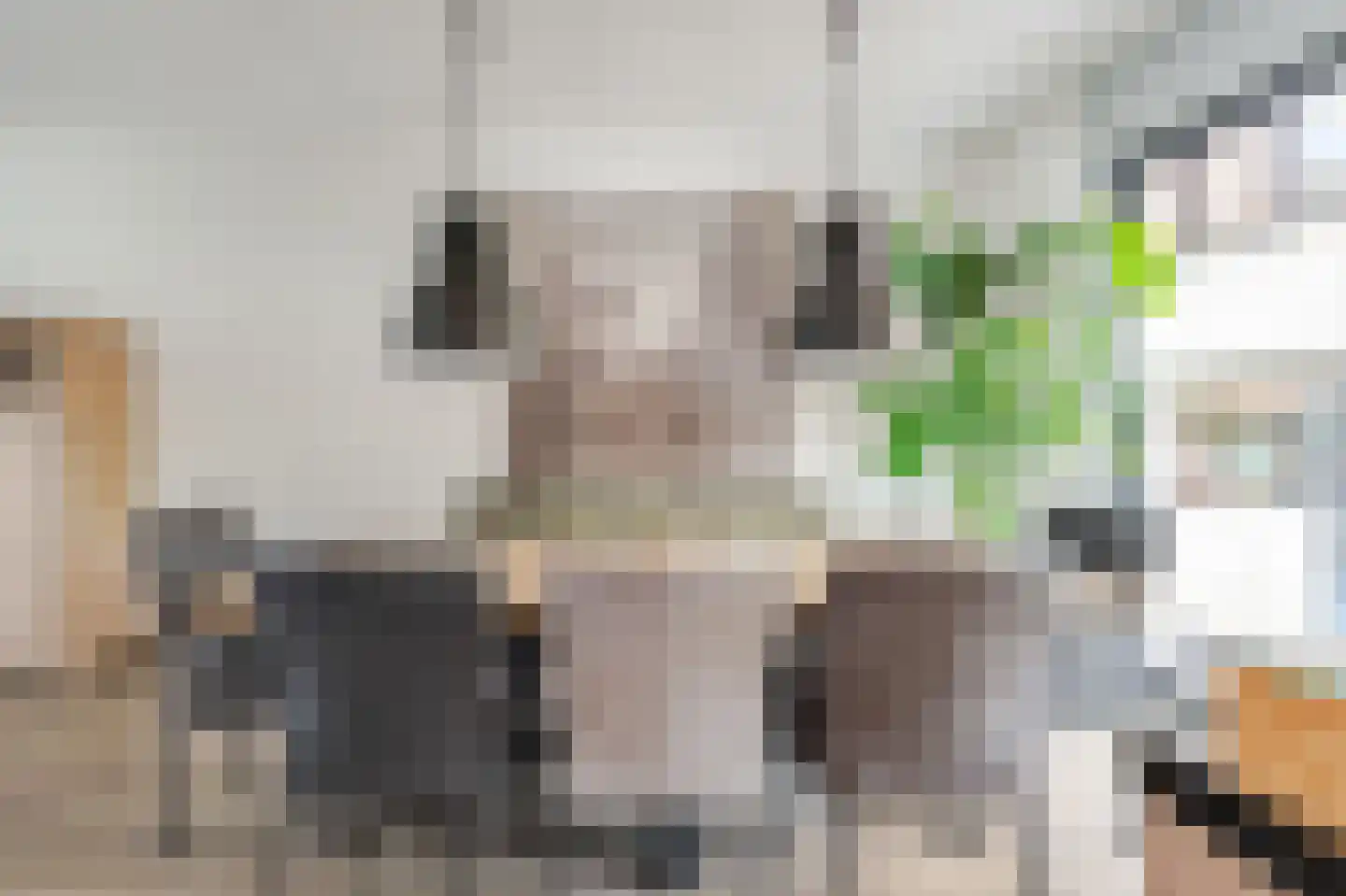 Veldhof 19 Raalte thumbnail 15