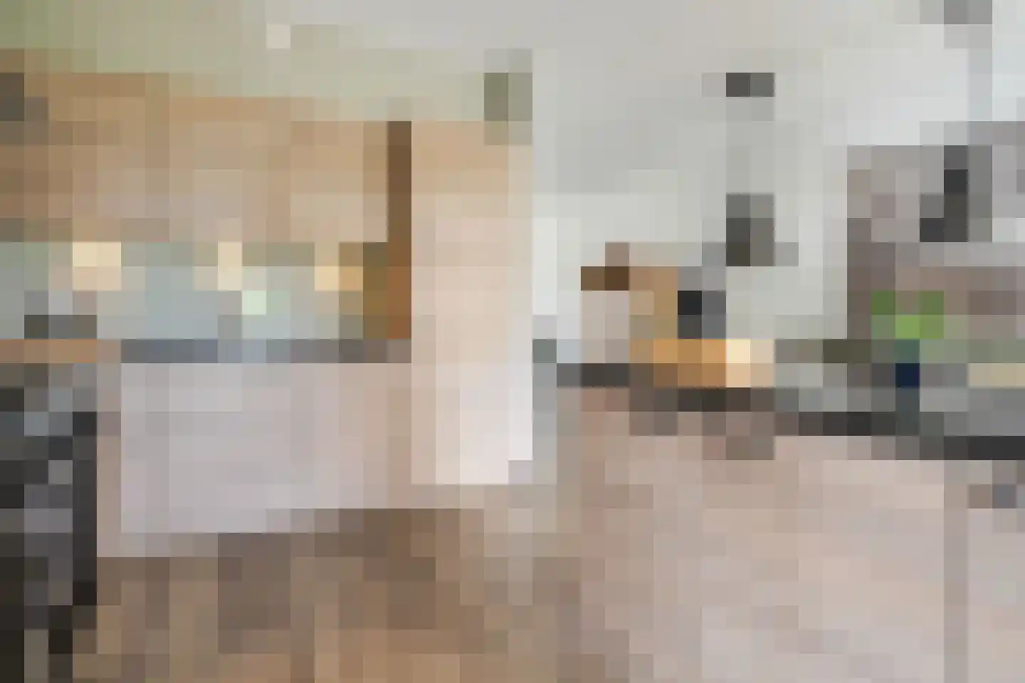 Veldhof 19 Raalte thumbnail 17