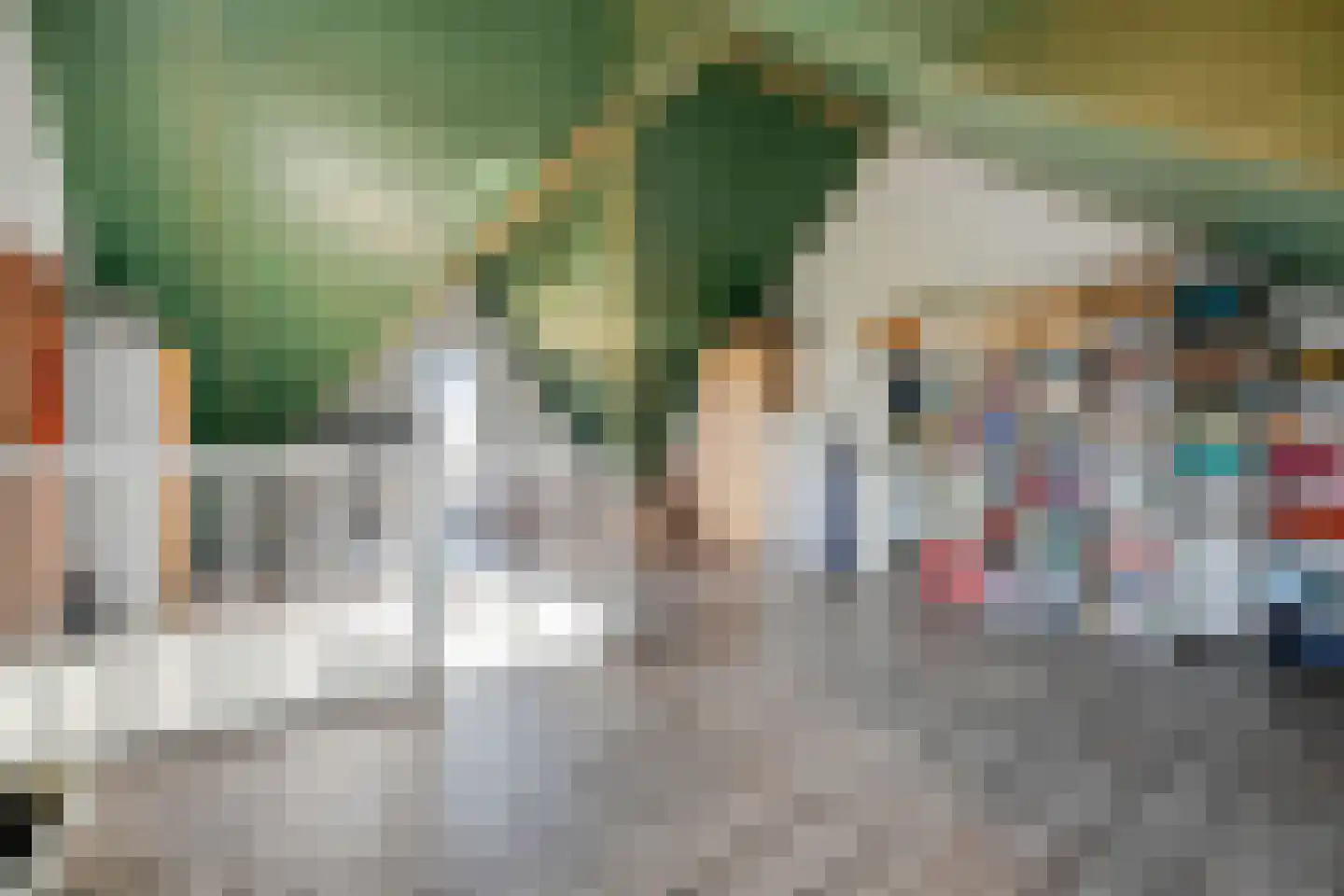 Veldhof 19 Raalte thumbnail 30