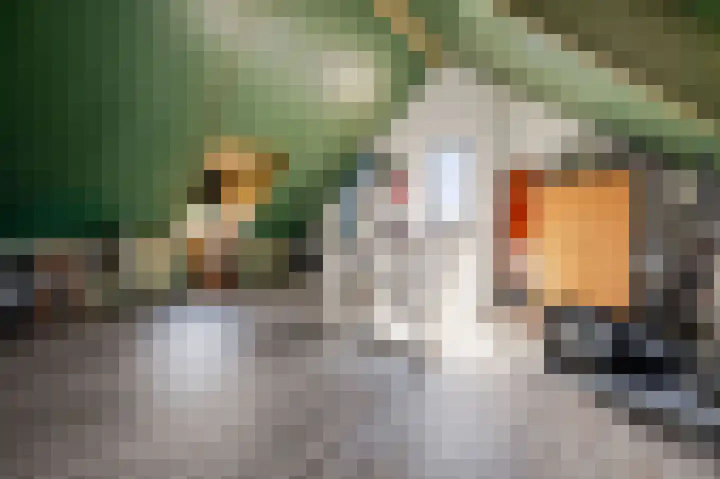 Veldhof 19 Raalte thumbnail 31