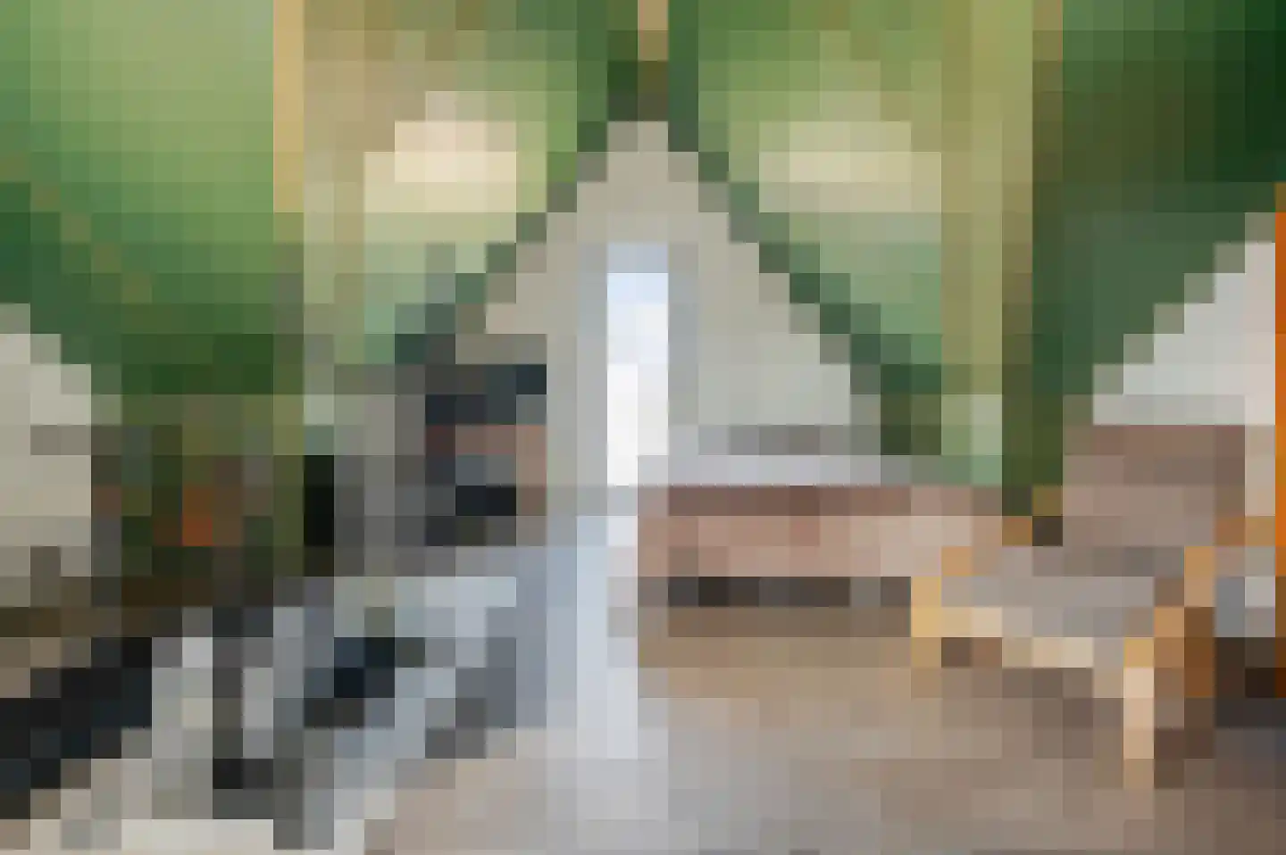 Veldhof 19 Raalte thumbnail 32