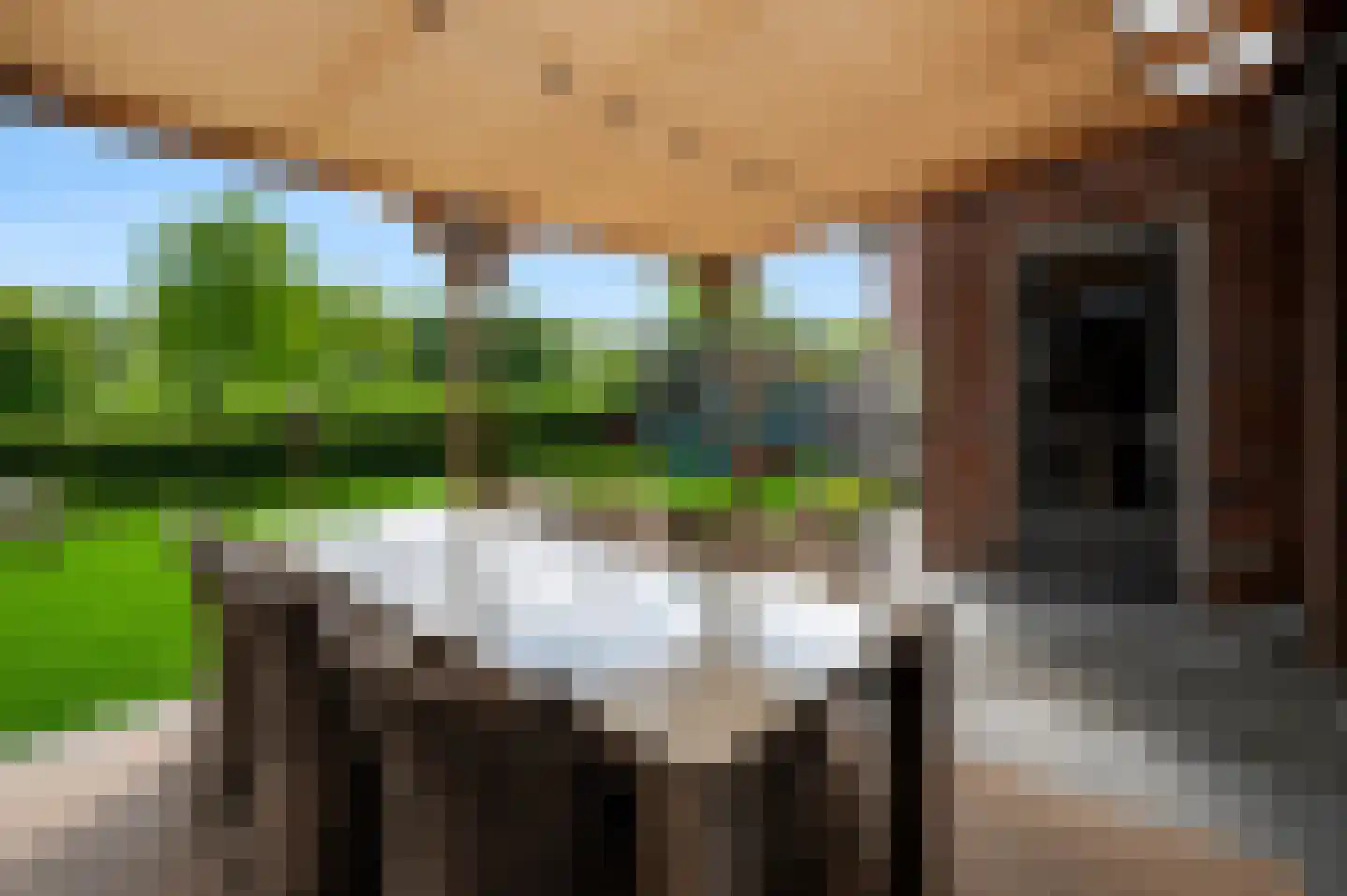Veldhof 19 Raalte thumbnail 34
