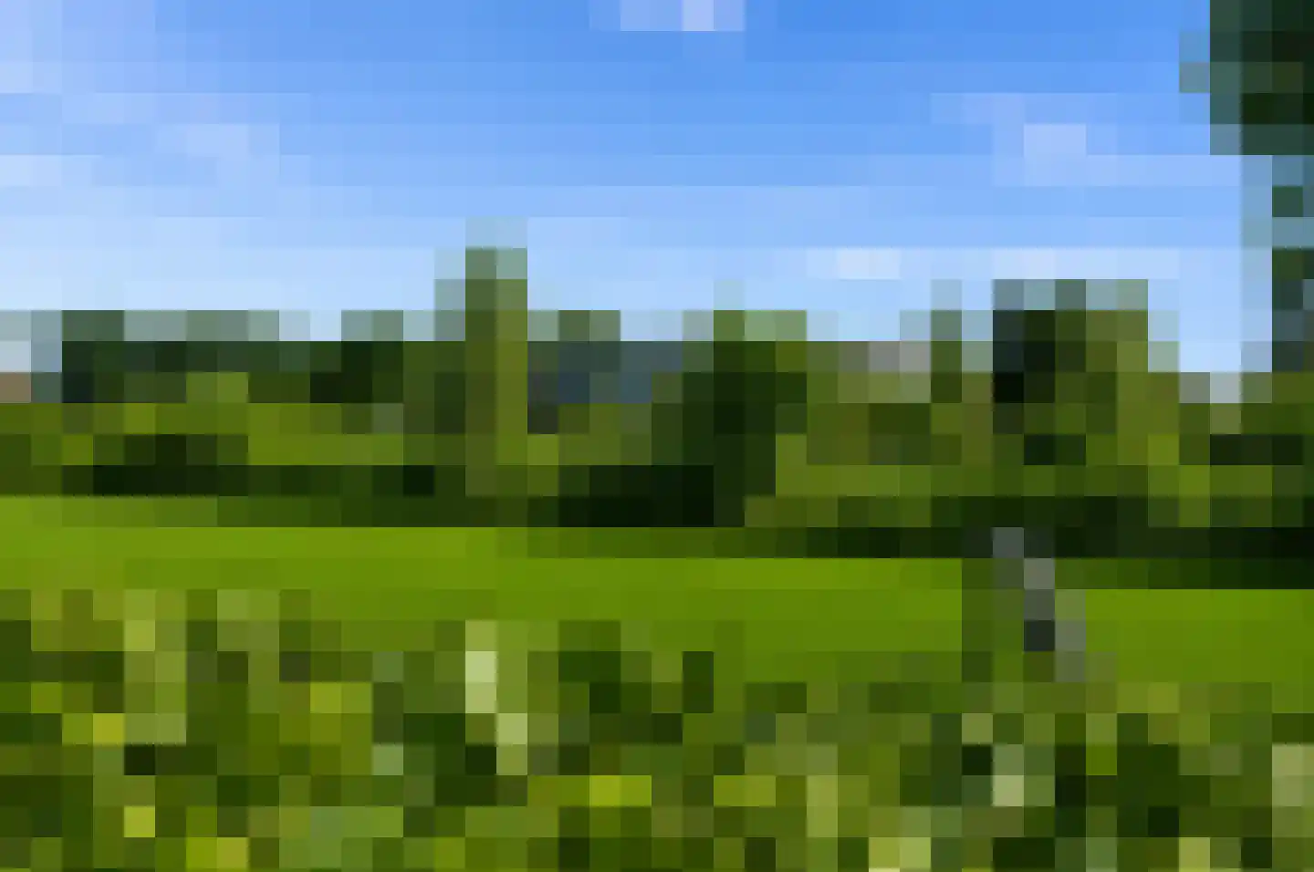 Veldhof 19 Raalte thumbnail 36