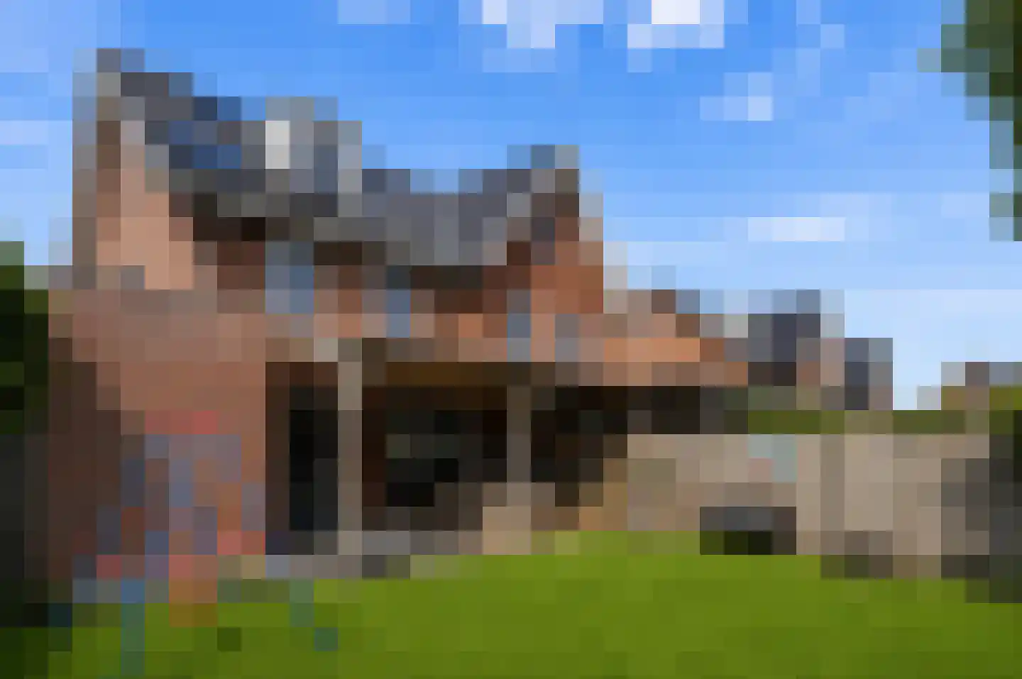 Veldhof 19 Raalte thumbnail 38