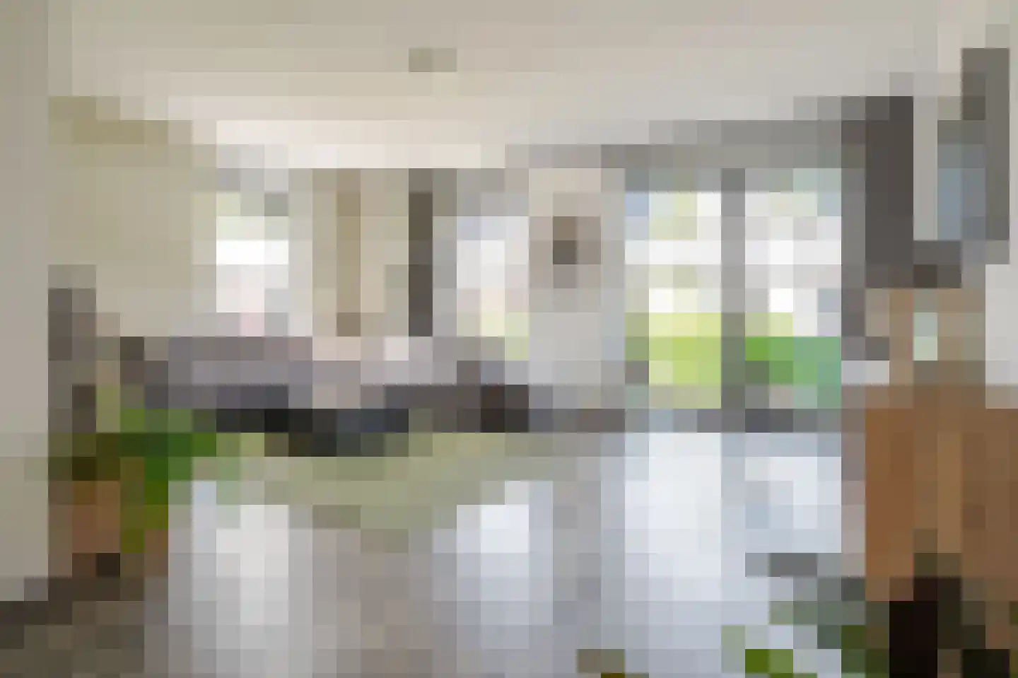 Veldhof 19 Raalte thumbnail 9