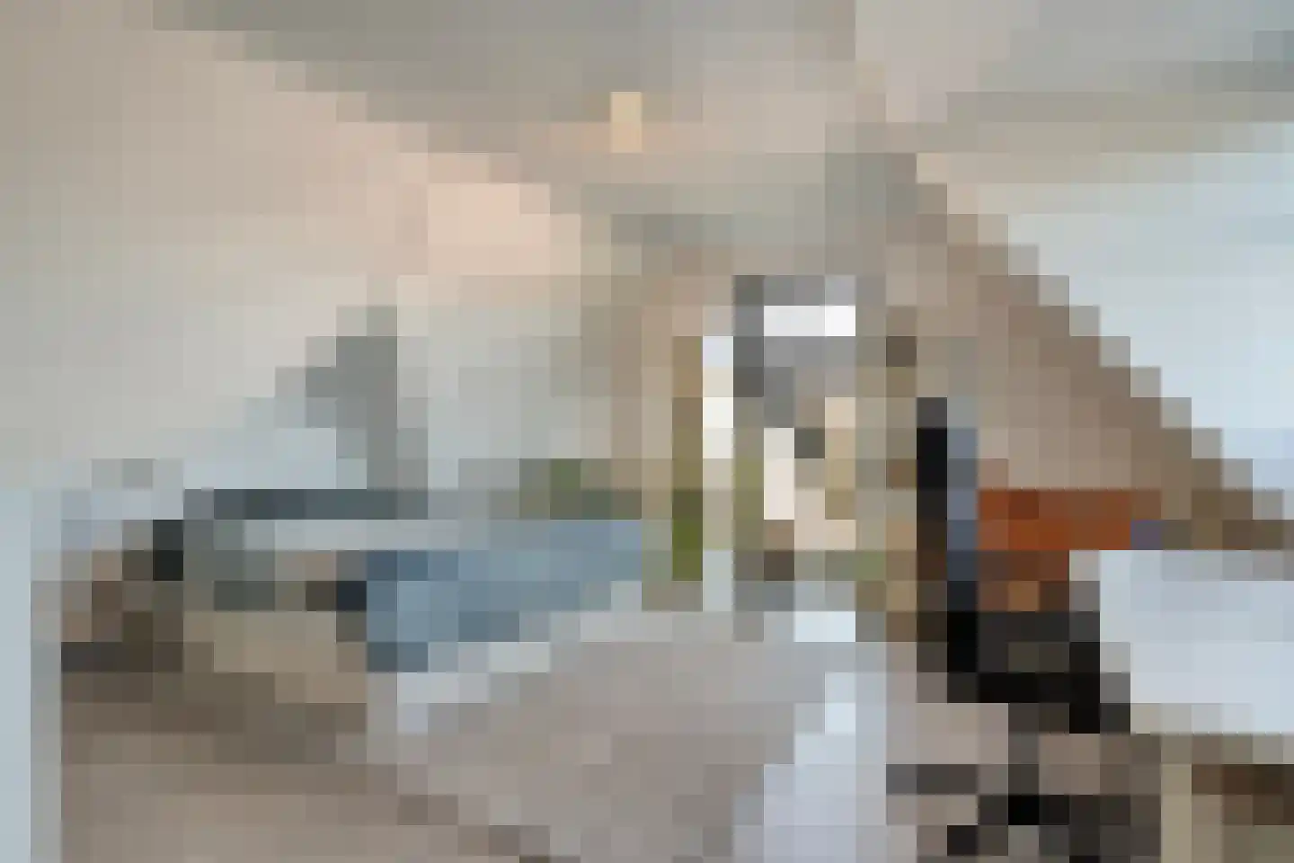 Veldhof 57 Raalte thumbnail 46
