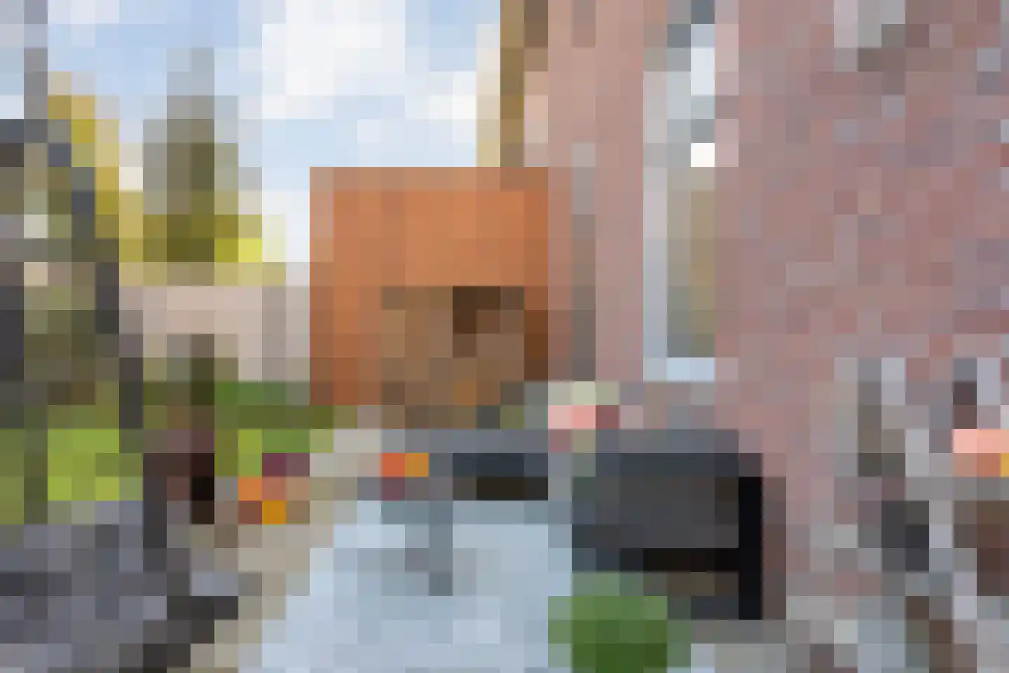 Veldhof 57 Raalte thumbnail 50