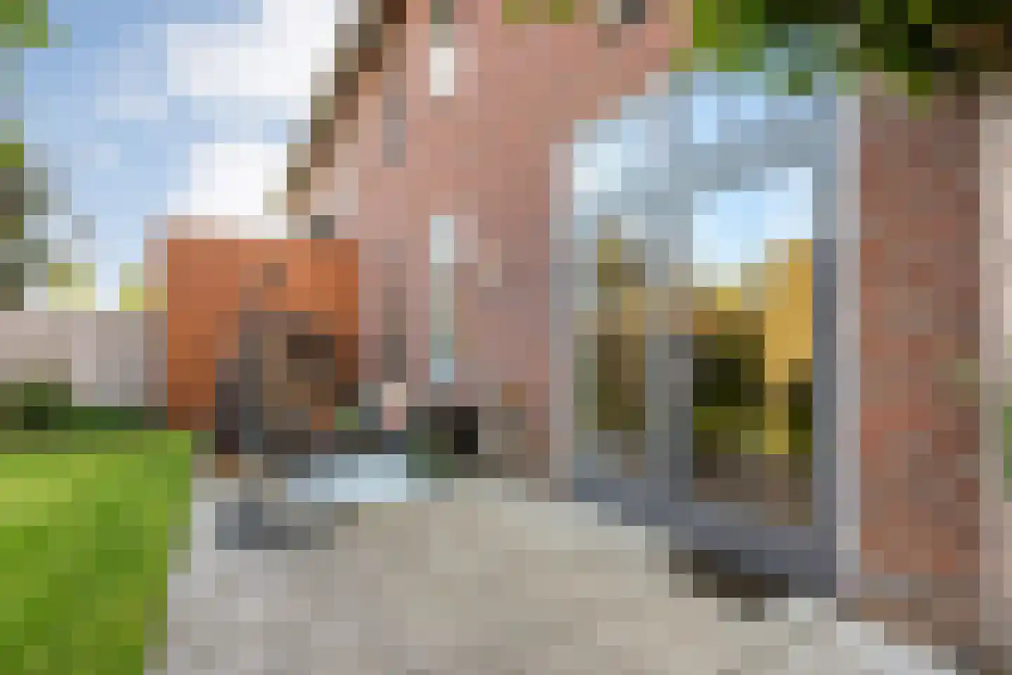 Veldhof 57 Raalte thumbnail 51