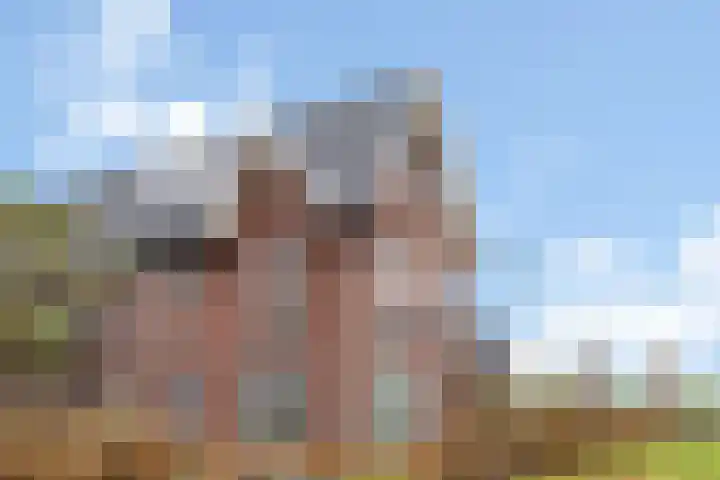 Veldhof 59 en Raalte