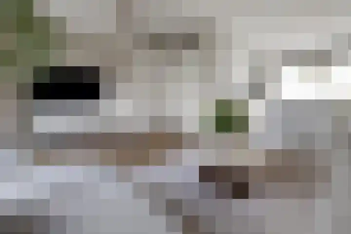 Veldhof 8 Raalte thumbnail 11