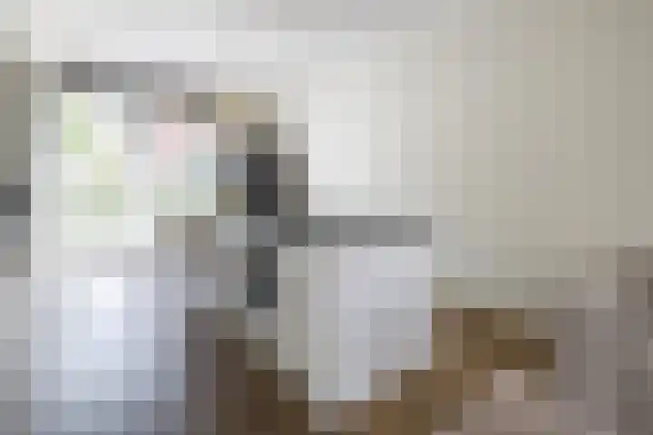 Veldhof 8 Raalte thumbnail 12