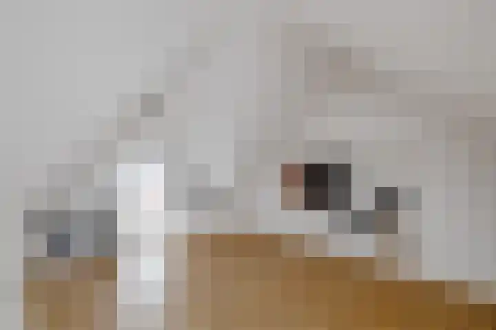 Veldhof 8 Raalte thumbnail 24