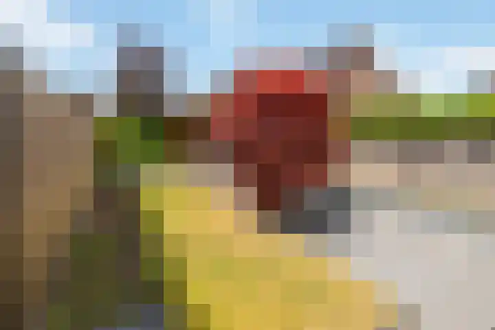 Veldhof 8 Raalte thumbnail 28