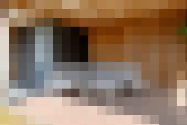 Veldhof 8 Raalte thumbnail 30