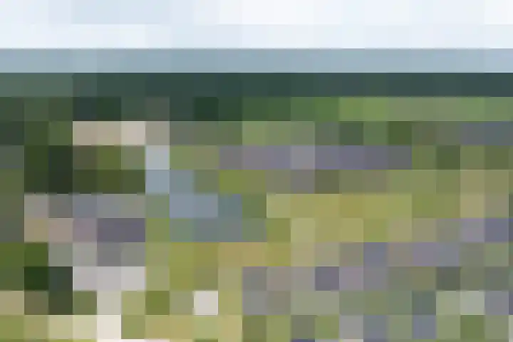 Veldhof 8 Raalte thumbnail 33