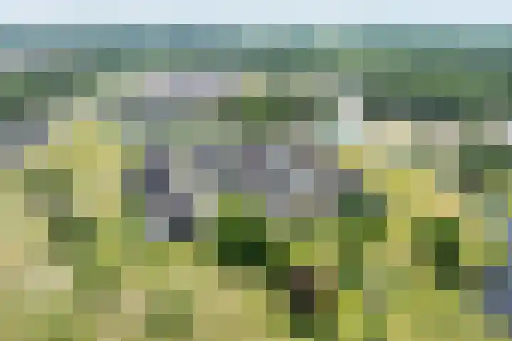 Veldhof 8 Raalte thumbnail 34