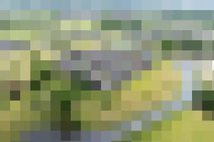 Veldhof 8 Raalte thumbnail 7