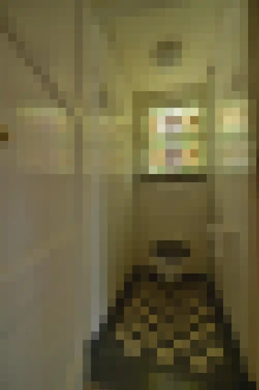 Veldhofstraat 119 Eygelshoven thumbnail 9
