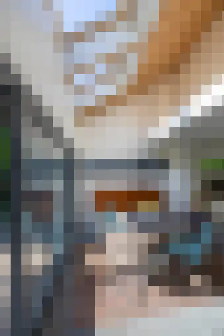 Veldhofstraat 34 k Gorssel thumbnail 16