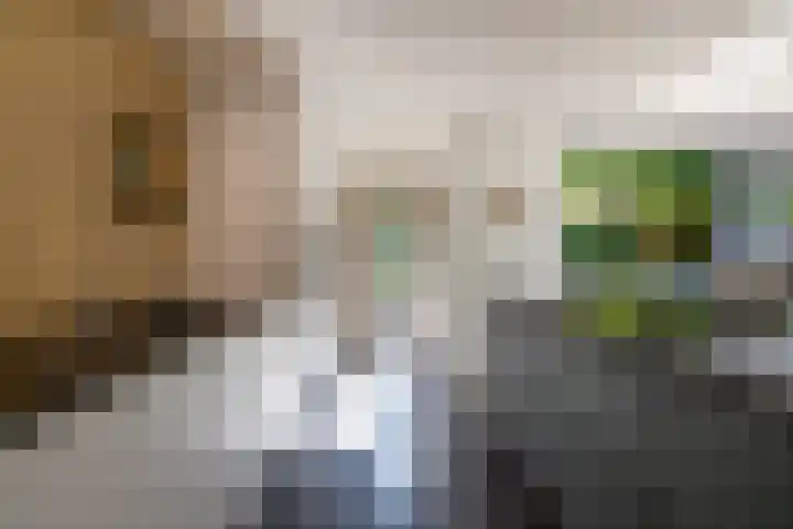 Veldhofstraat 34 k Gorssel thumbnail 22