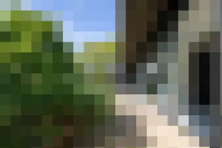Veldhofstraat 34 k Gorssel thumbnail 42