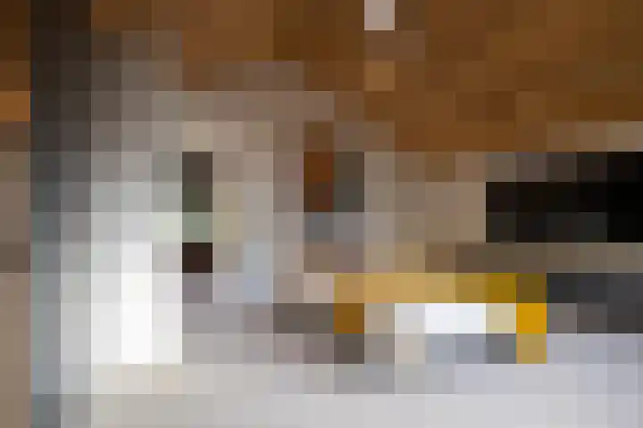 Veldhofstraat 34 k Gorssel thumbnail 46