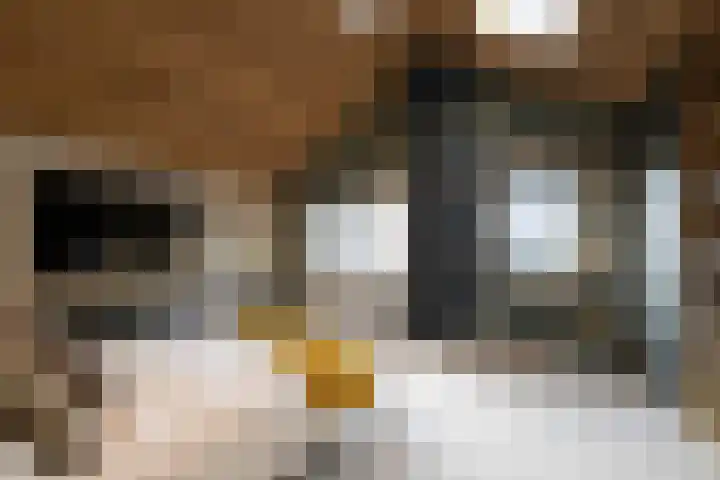 Veldhofstraat 34 k Gorssel thumbnail 47