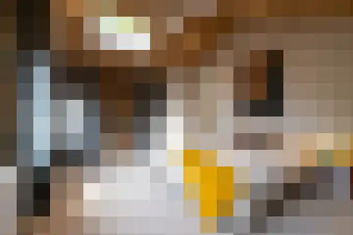 Veldhofstraat 34 k Gorssel thumbnail 48