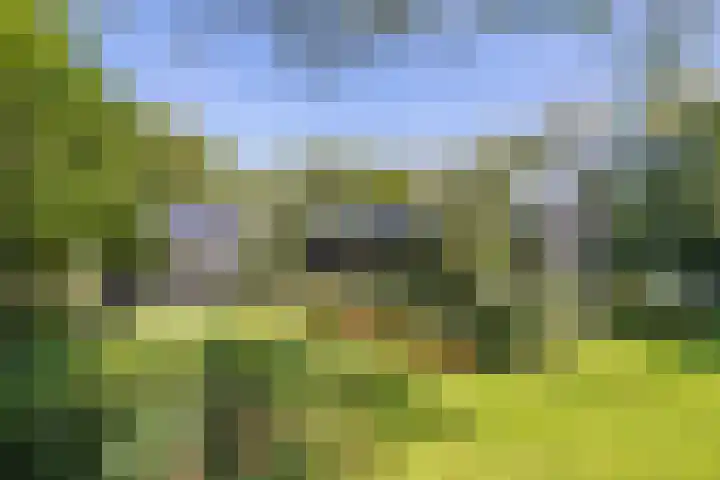 Veldhofstraat 34 k Gorssel thumbnail 5