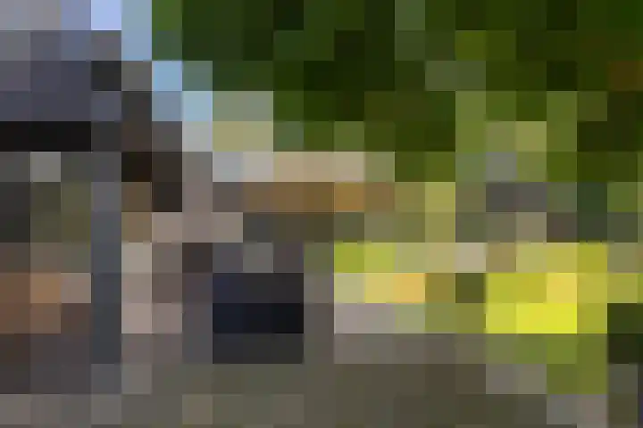 Veldhofstraat 34 k Gorssel thumbnail 55