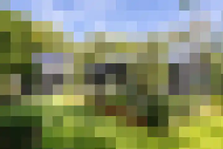 Veldhofstraat 34 k Gorssel thumbnail 63
