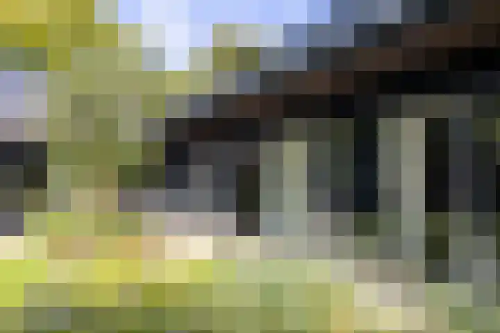 Veldhofstraat 34 k Gorssel thumbnail 64