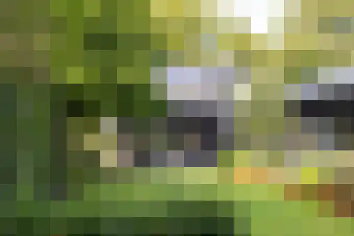 Veldhofstraat 34 k Gorssel thumbnail 65