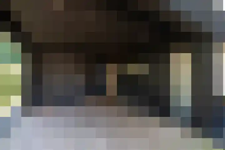 Veldhofstraat 34 k Gorssel thumbnail 72