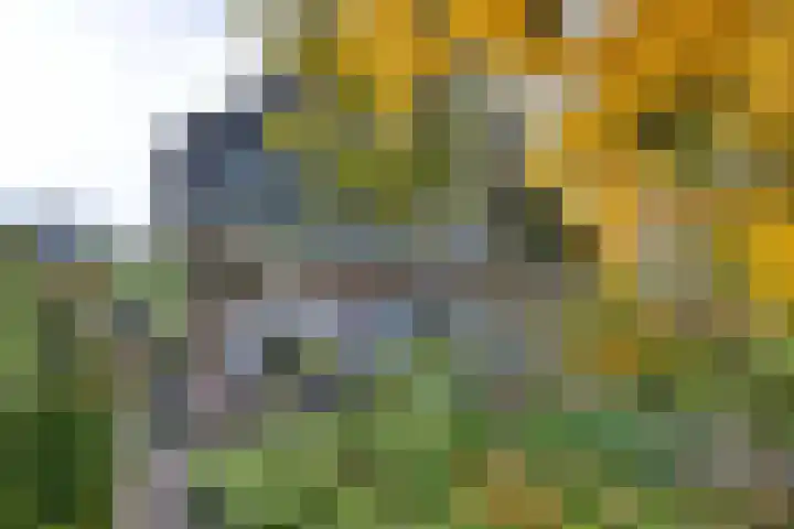 Veldhofstraat 4 in Gorssel