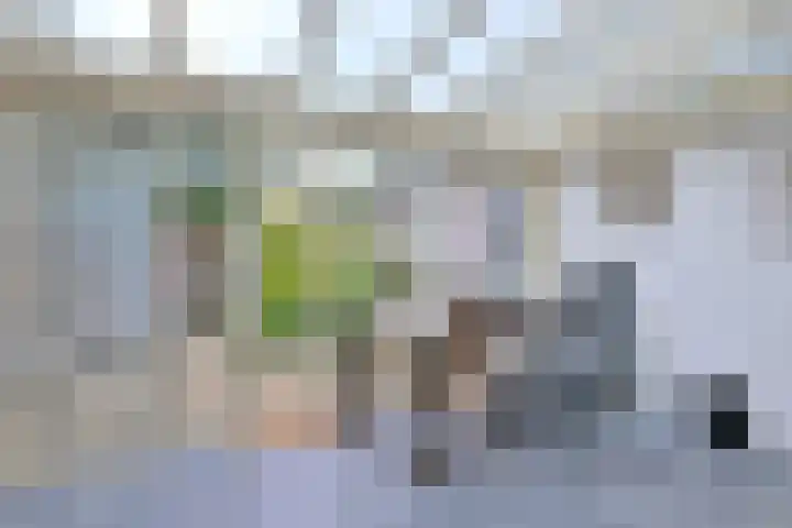 Veldhofstraat 4 Gorssel thumbnail 13