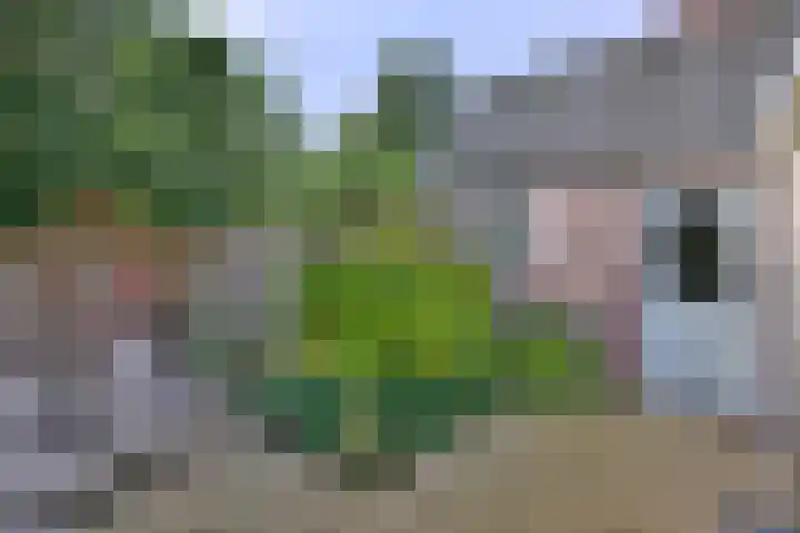 Veldhofstraat 4 Gorssel thumbnail 30
