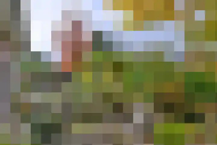 Veldhofstraat 4 Gorssel thumbnail 33