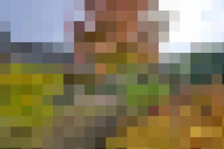 Veldhofstraat 4 Gorssel thumbnail 34