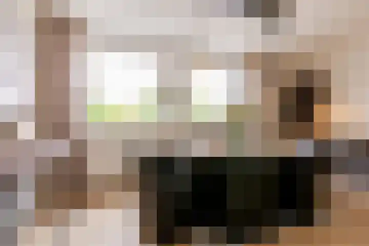 Veldhofstraat 4 Gorssel thumbnail 35