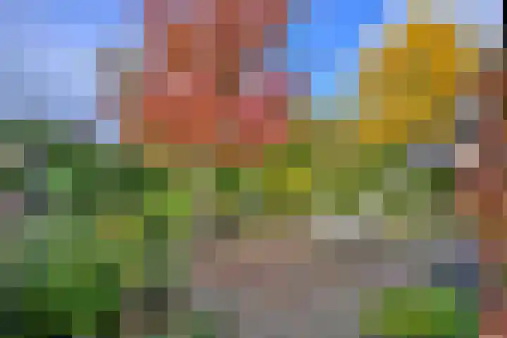 Veldhofstraat 4 Gorssel thumbnail 36