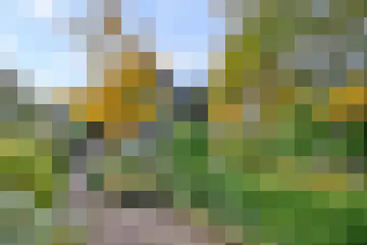 Veldhofstraat 4 Gorssel thumbnail 37