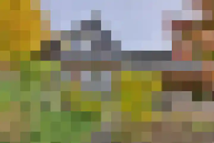 Veldhofstraat 4 Gorssel thumbnail 4